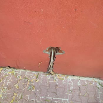 Masal Bahçe Aile Tatilimizde Karşılaştığımız Hayal Kırıklıkları