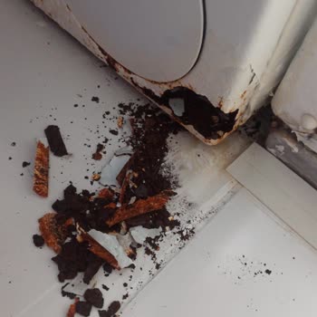 Bosch Çamaşır Makinesi Çürüdü