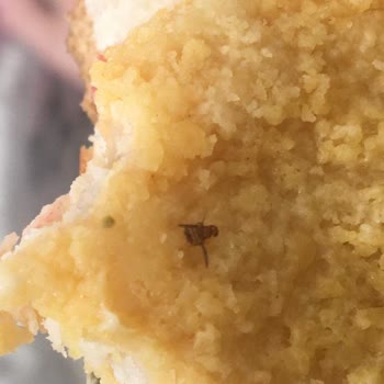 BİM Ürününde Böcek Çıkması