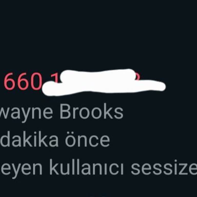 WhatsApp Üzerinden Gelen Yabancı Çağrı Ve Güvenlik Endişesi