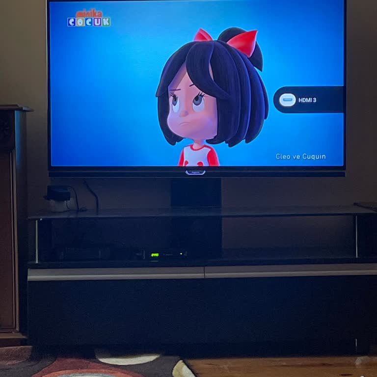 Philips Televizyon Şikayet