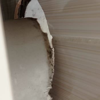 Arçelik Servis Elemanı İş Bilmezliği ve Saygısızlığı