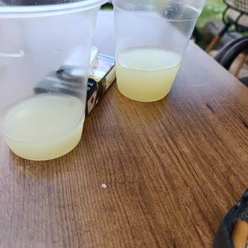 Kültür ve Turizm Bakanlığı İki Bardak Limonata 256 TL Olur Mu