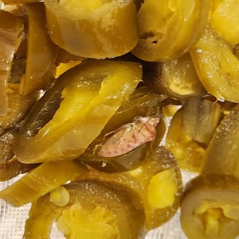 A101 Den Almış Olduğum Galle Marka Biber Turşusundan Böcek Çıktı