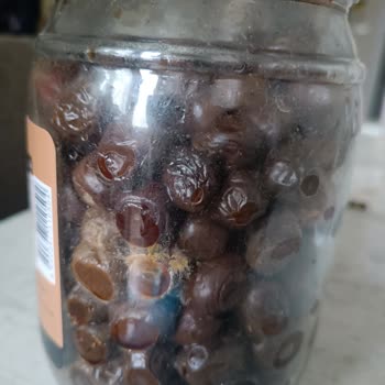 Kaanlar Marka Henüz Hiç Açılmadan Bozulan Zeytin