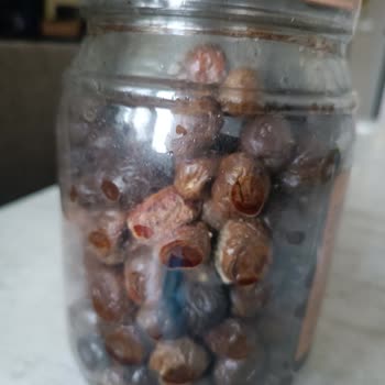 Kaanlar Marka Henüz Hiç Açılmadan Bozulan Zeytin