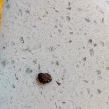 Şok Marketler Cipsten Çıkan Şüpheli Madde Şok Etti