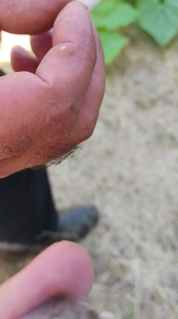 Philip Morris Marlboro Blue and Parliament Consumer Complaints video cover