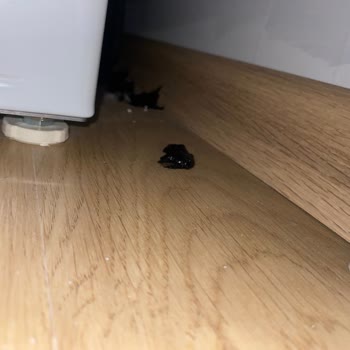 Samsung Kurutma Makinemin Arkasında Siyah Erime Var