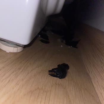 Samsung Kurutma Makinemin Arkasında Siyah Erime Var