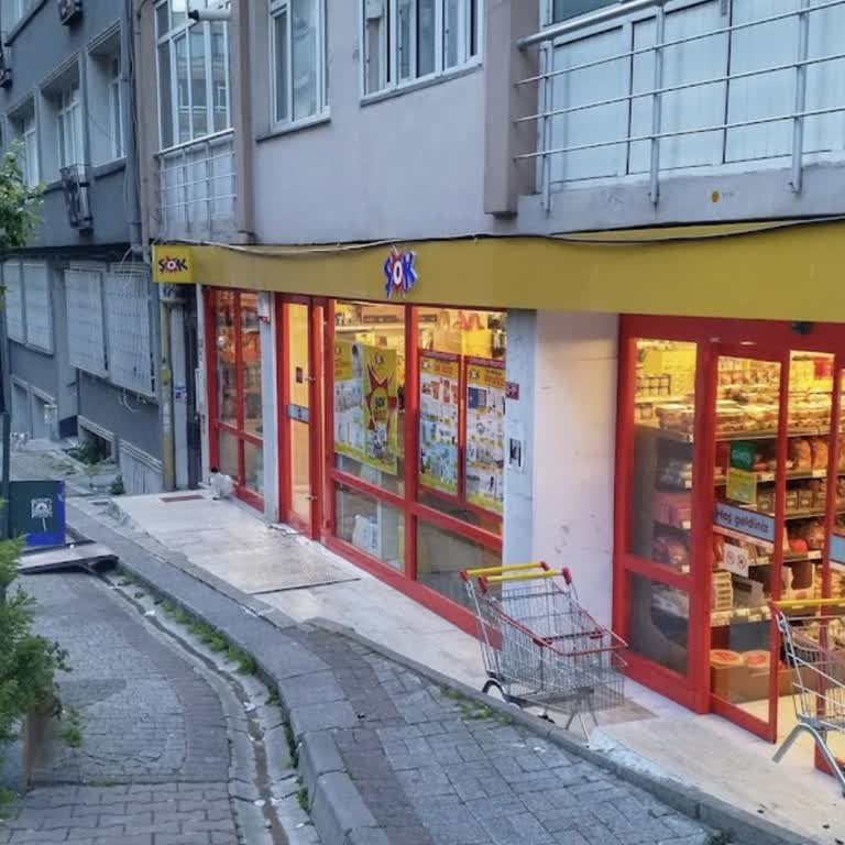 Şok Marketler Beşiktaş Şok Hamam Böcekli, Sinekli, Fareli, Düzensiz, Ürün Eksikliği