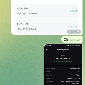 Star Trader Platformunda Para Çekme Sorunları Ve Tehditler