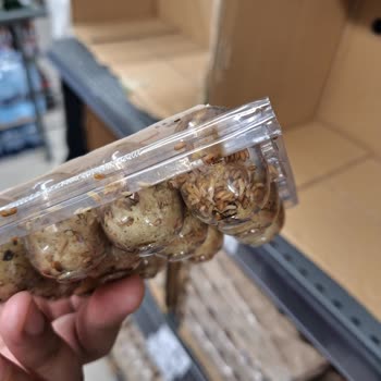 A101'de Satılan Bıldırcın Yumurtası Kurtlanmıştı