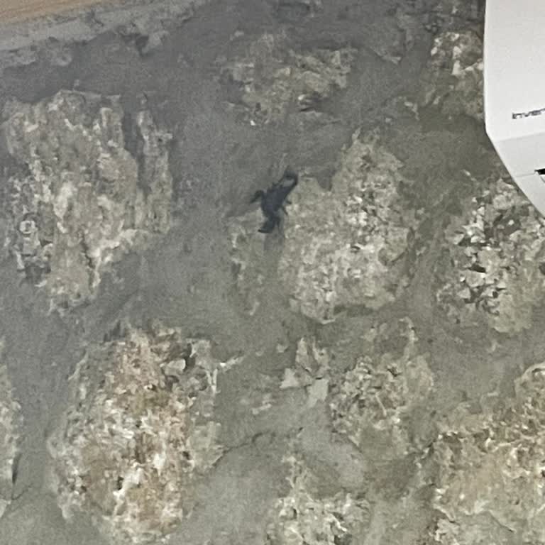 Yörük Evi Faralya Yörük Evleri Fethiye