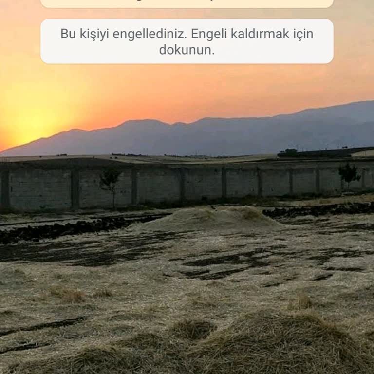 WhatsApp Tan Güney Afrika Alan Kodlu Bir Telefonun Araması