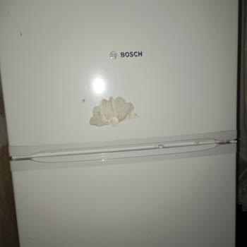 Bosch Buzdolabıma Çözüm İstiyorum