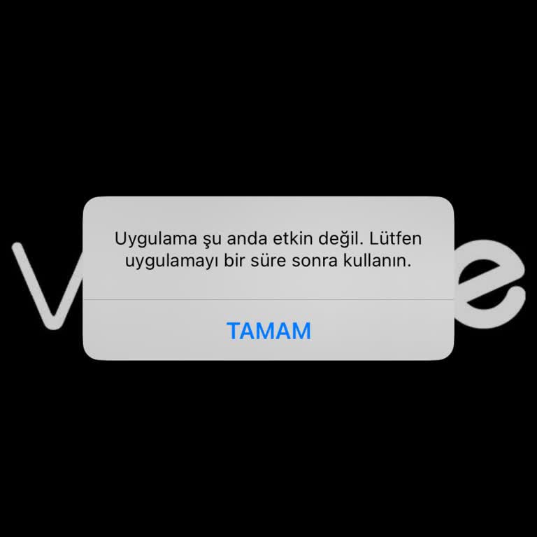 Vionine'ın Uygulaması Açılmıyor
