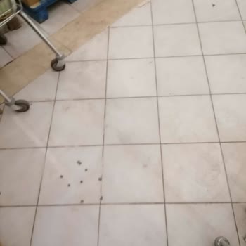 Şok Market Mihraplı Şube Temizlik, Düzen Ve Personel Yetersizliği