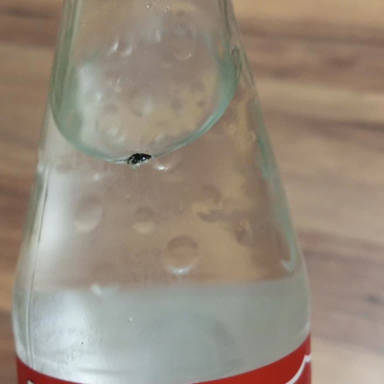 Niğde Gazozu Şişeden Karınca Çıktı.