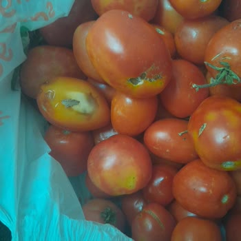 Migros Sanal Market Siparişimde Kalitesiz Ürün Sorunu