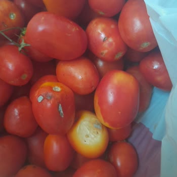 Migros Sanal Market Siparişimde Kalitesiz Ürün Sorunu
