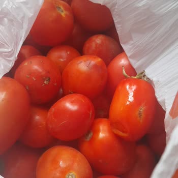 Migros Sanal Market Siparişimde Kalitesiz Ürün Sorunu