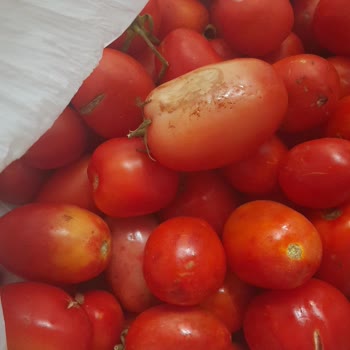 Migros Sanal Market Siparişimde Kalitesiz Ürün Sorunu
