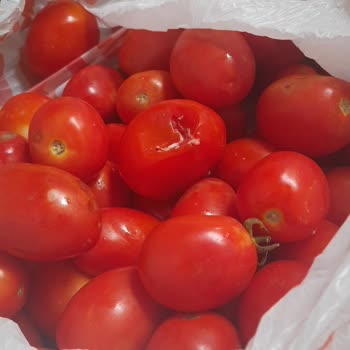 Migros Sanal Market Siparişimde Kalitesiz Ürün Sorunu
