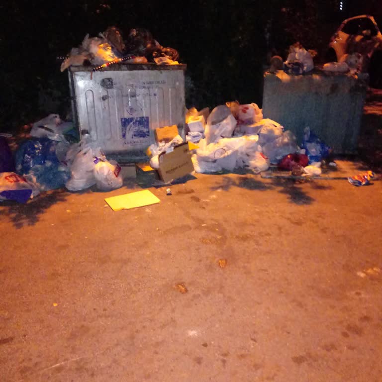 Çekmeköy Belediyesi Çekmeköy'de Çöp Konteyneri Sorunu