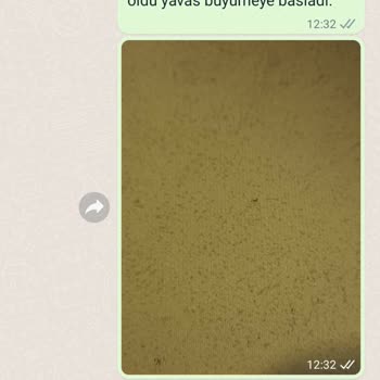 Bangu Home Koltuk Kumaşı Hatalı Olması Hatanın Telafi Edilmemesi
