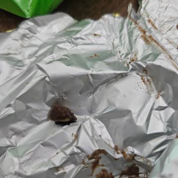 Ülker Çikolatadan Taş Çıktı