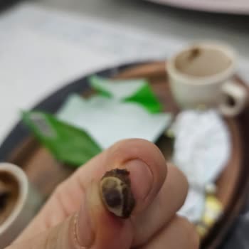 Ülker Çikolatadan Taş Çıktı