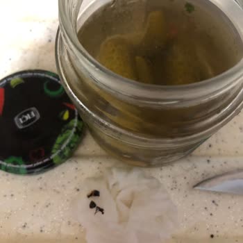 BİM Fıçı Turşu Böcek Çıktı