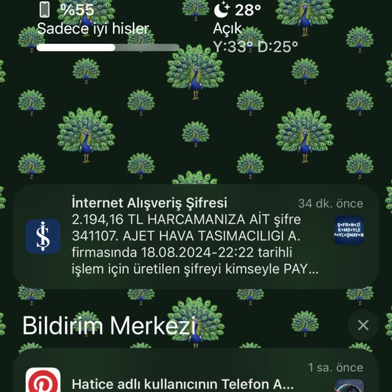 AJet Ödeme Alındı Bilet Alınamadı