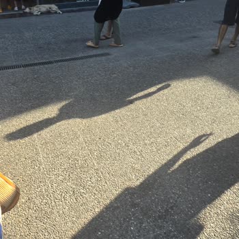 Söke Belediyesi Novada AVM'de Sokak Hayvanları Sorunu