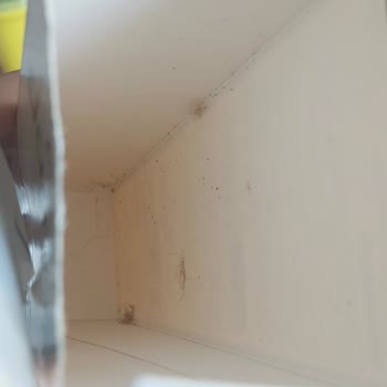 Nestle Damak Çikolatanın Güveli Paketi