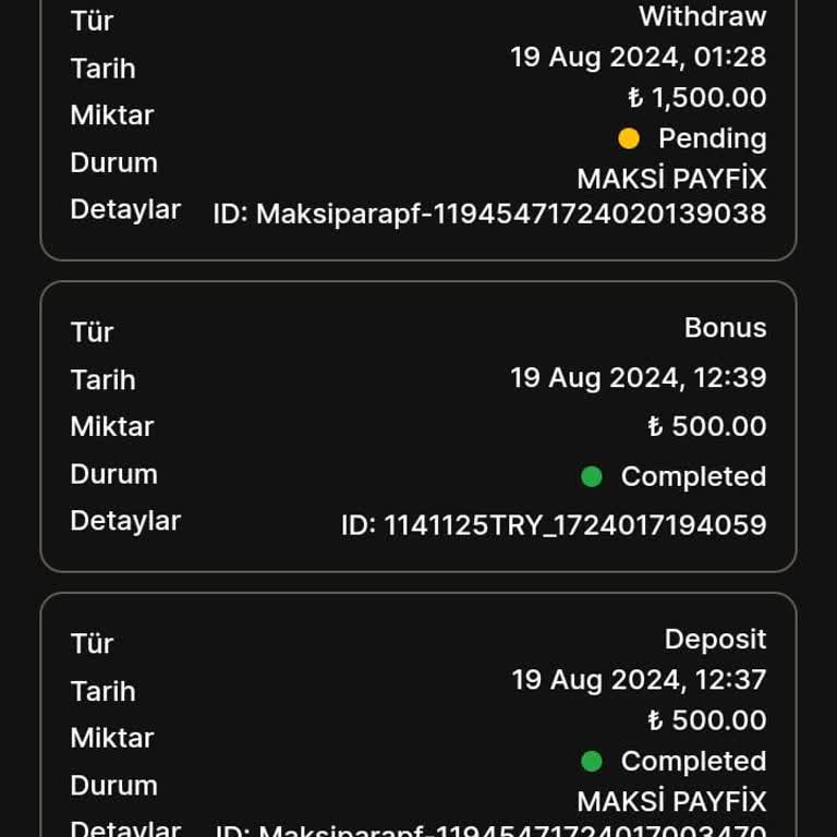 No2Bet Kimlik Doğrulama Ve Çekim Sorunu Yaşadım