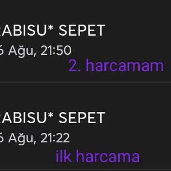 Rabisu Web Hosting Rabisu'dan Alınan Minecraft Hosting Hizmetiyle İlgili Sorun