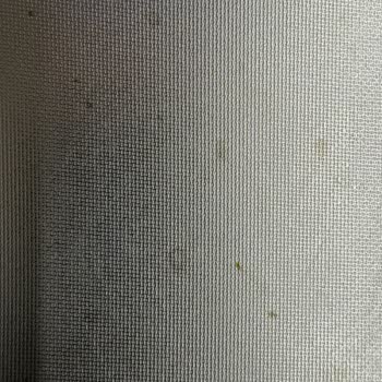 Teka Evye Pas Sorunu