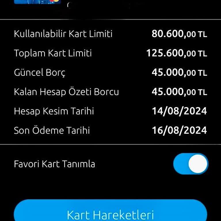 Yapı Kredi Bankası Son Ödeme Sıkıntı