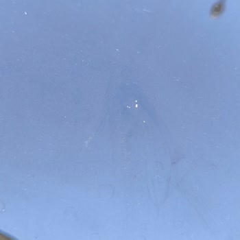 Opel Mokka Aracında Boya Sorunu Ve Yetersiz Onarım Teklifi