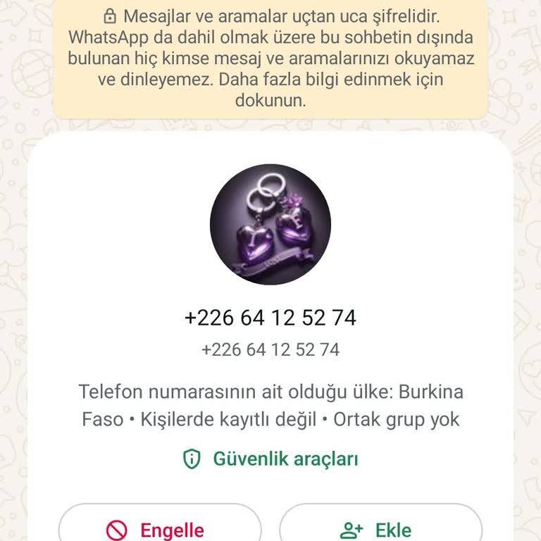 WhatsApp +226 64 Ten Gelen WhatsApp Mesajı