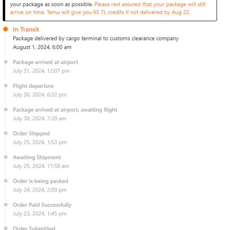 Temu Siparişim Gumrukte Bekliyor...