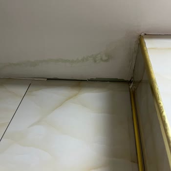 Neova Konut Sigortası Hasarı Karşılamıyor