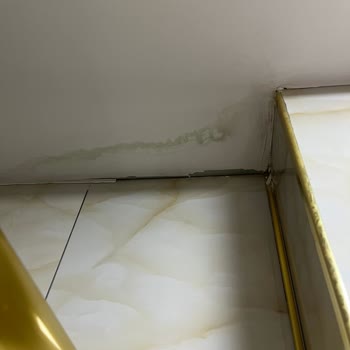 Neova Konut Sigortası Hasarı Karşılamıyor