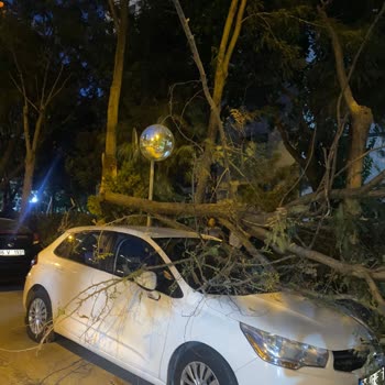 Bakırköy Belediyesi Sorumsuzluğu Canımdan Olacaktım