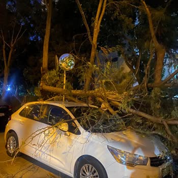 Bakırköy Belediyesi Sorumsuzluğu Canımdan Olacaktım