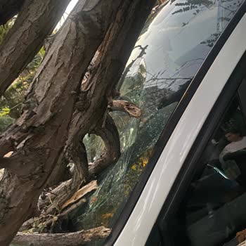 Bakırköy Belediyesi Sorumsuzluğu Canımdan Olacaktım