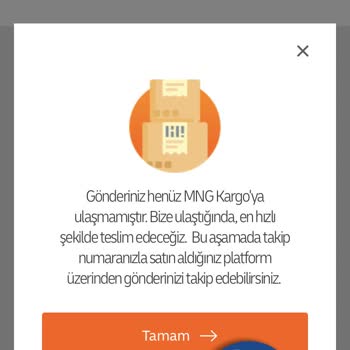 Temu MNG Kargo Gümrük Sorun Kimde