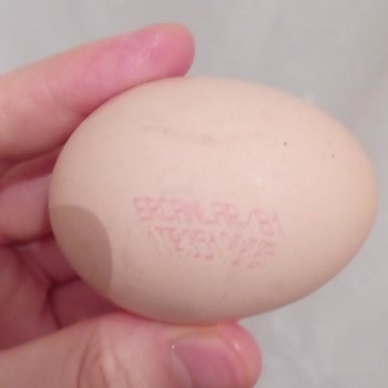 A101 Markette Satılan Ercanlar Yumurtaların Bozuk Çıkması.